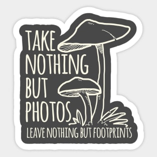 Take Nothing But Photos Sticker